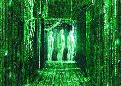 Simulation
