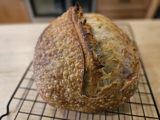 BREAD logo