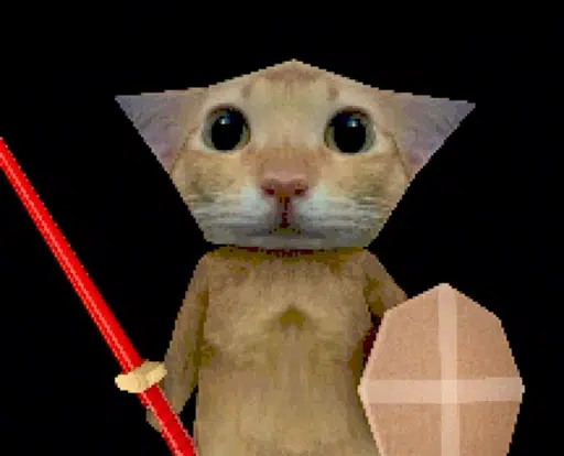 CAT WIF SHIELD