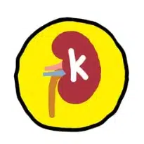 KIDNEY