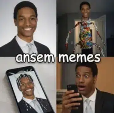 ANSEM