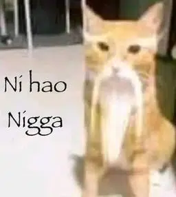 Ni Hao Nigga logo