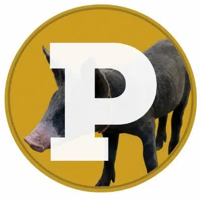 Pogecoin