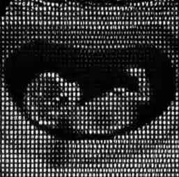 coin image
