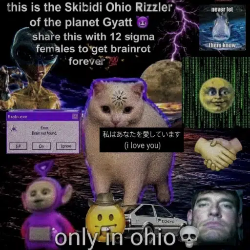 MEME
