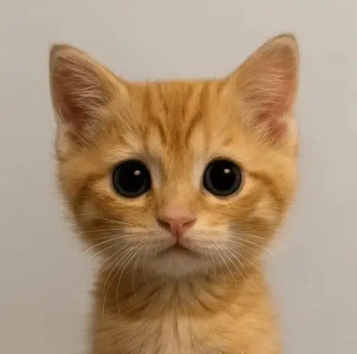 Neko logo