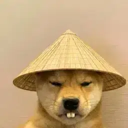dǒulì
