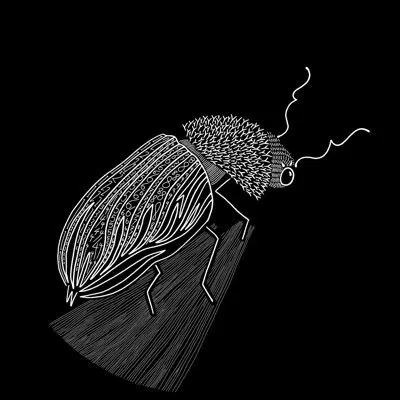 PERMUTATIONIN