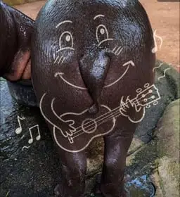 Buttdeng