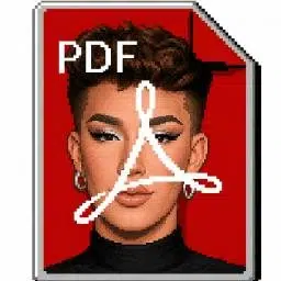 PDF