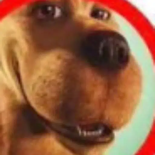 jew