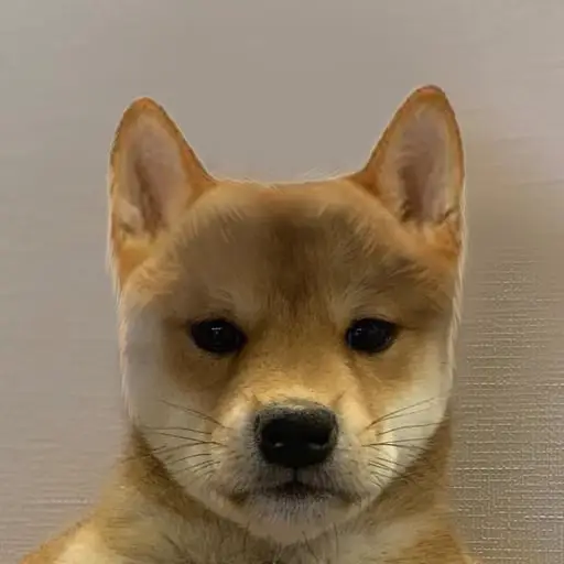 INU