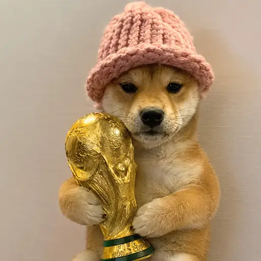wifworldcup