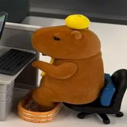 Cwapy