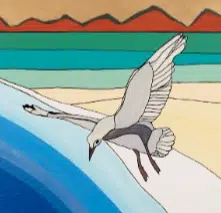 SEAGULL