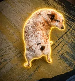 The Twerking Dog logo