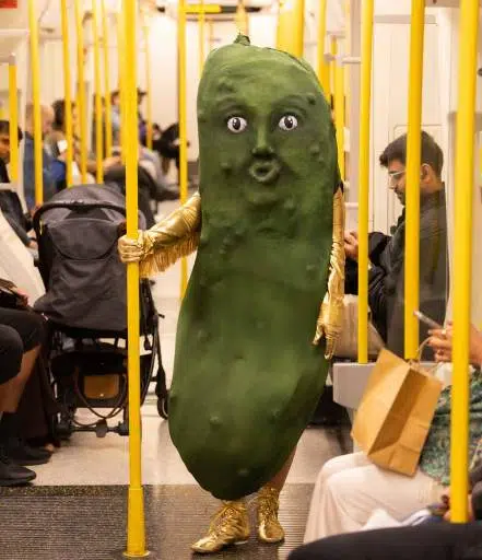 Pickle