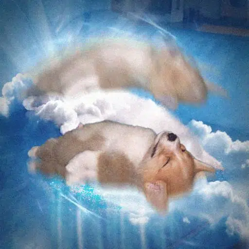 Ascend