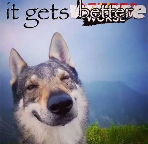 it gets better logo