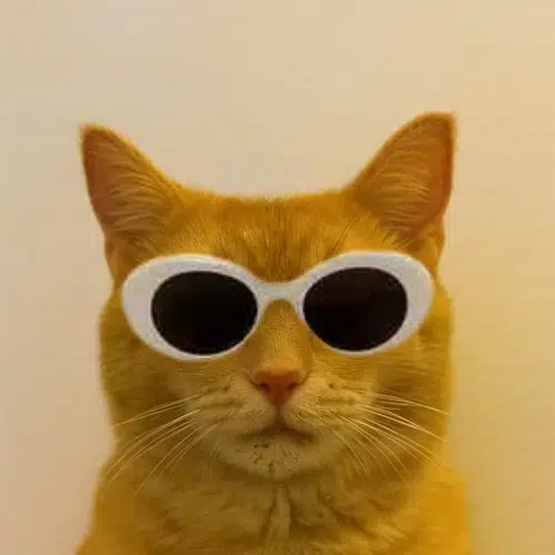 clout logo