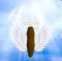 holy shit