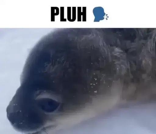 PLUH Seal logo