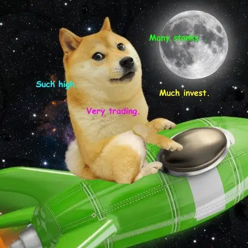 DOGE-1