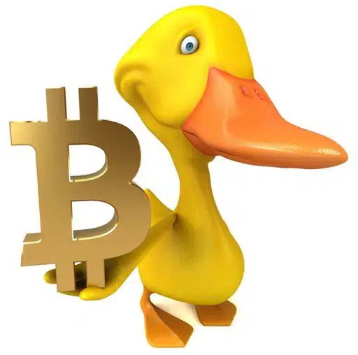 Swan coin