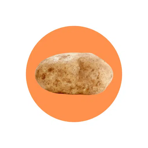 POTATO
