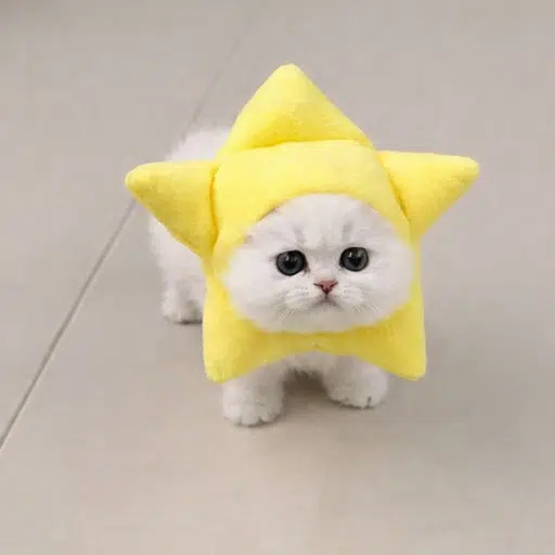 tgcat