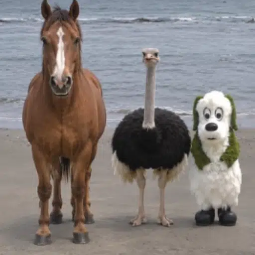 ビーチの動物たち