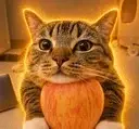 The Apple Cat logo