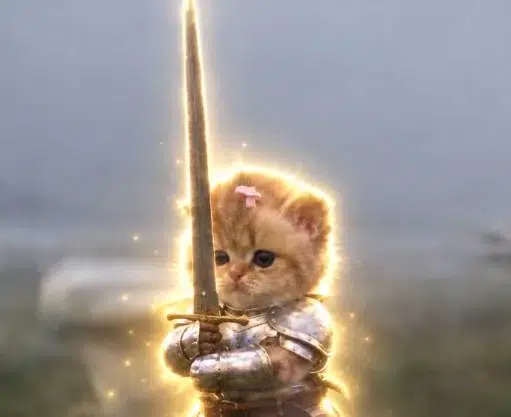 SWORDCAT