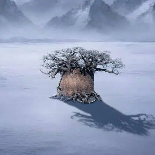 The Immortal Tree