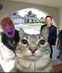 DOORBELL