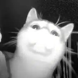 wlorp