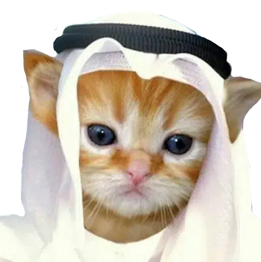 Habibi