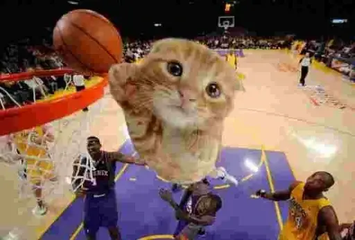 Ballincat43 logo