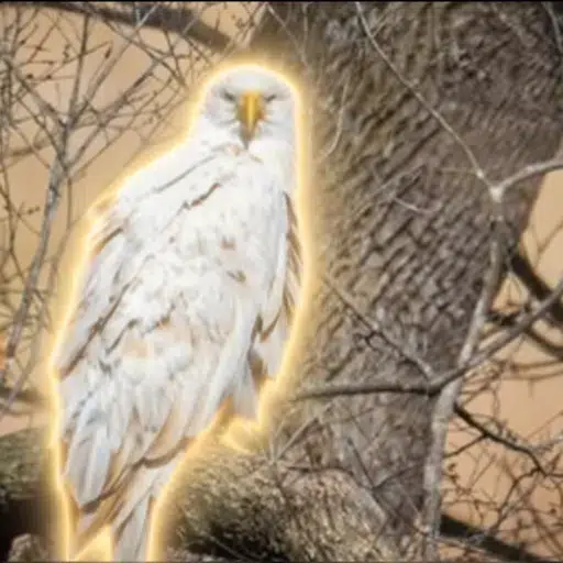 Eagle