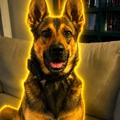 Justice For k9 Ultra logo