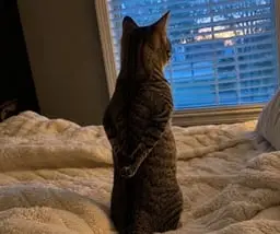 waiting