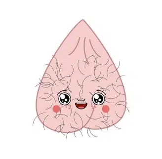 BALLSACK