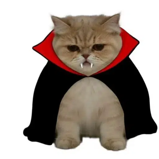 Vampcat