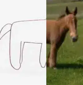 horse