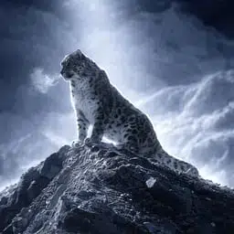 SnowLeopard