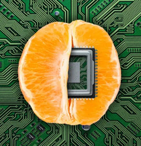 Vagina on a Chip