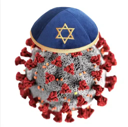 חנטה
