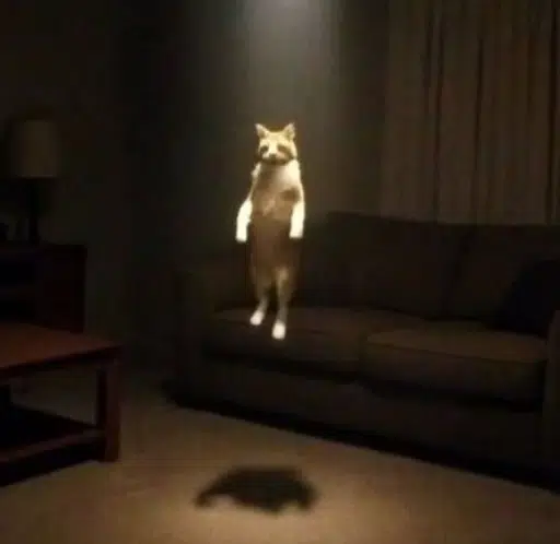 オーラ