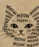 claudecat