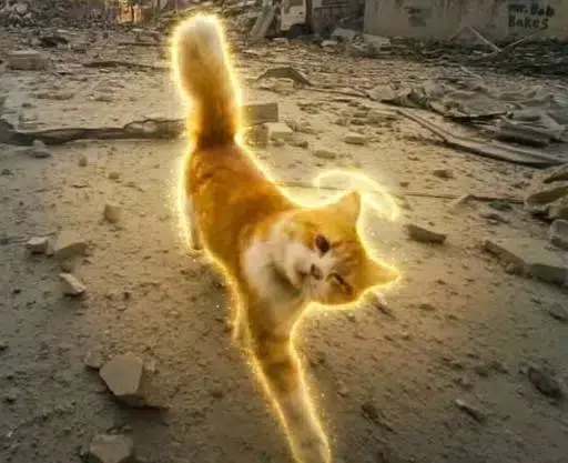 The Nietzschean Cat